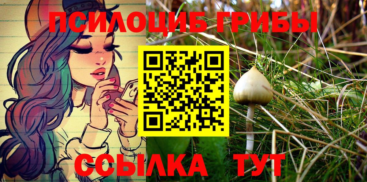 Псилоцибиновые грибы мицелий  Галлюциногенные грибы GOLDEN TEACHER  Вход с VPN  Владимир 